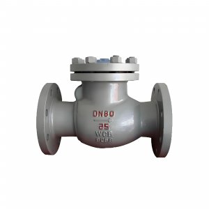 DN50 PN25 介質(zhì)：甲胺，溫度：80℃止回閥